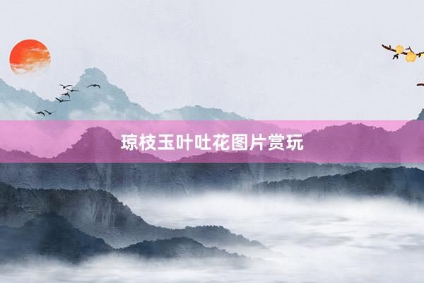 琼枝玉叶吐花图片赏玩